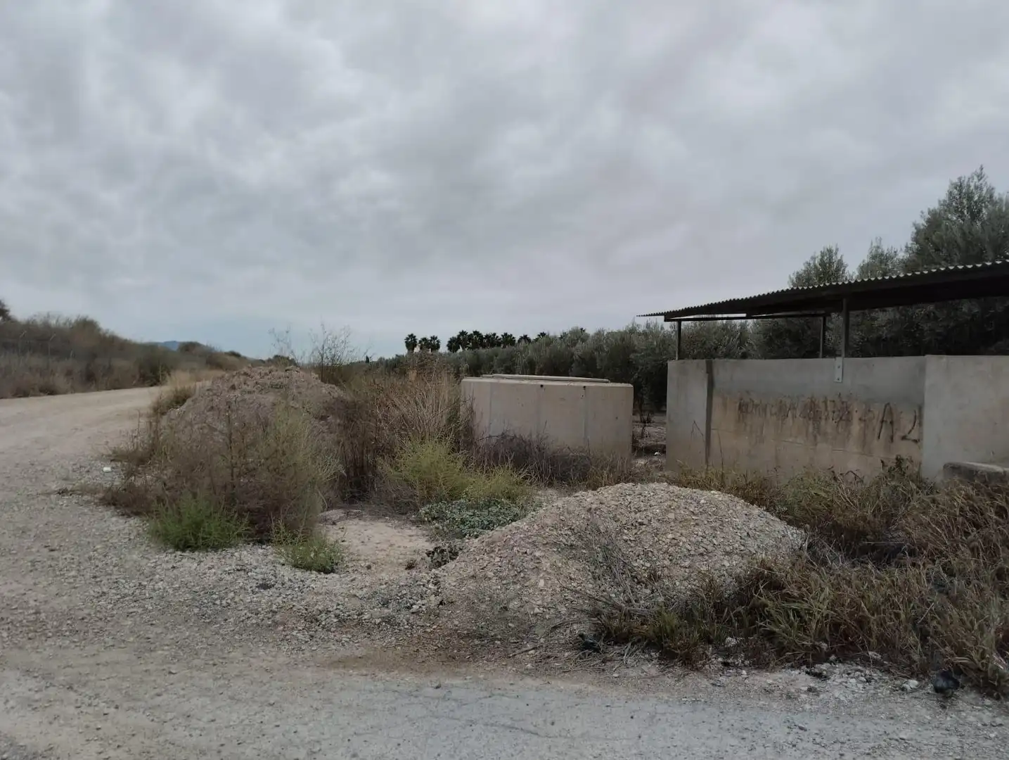 Terreny rústic en venda a Lorca Ciudad, imagen 5