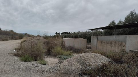 Terreno de Regadío  La Hoya, Lorca, immagine 5