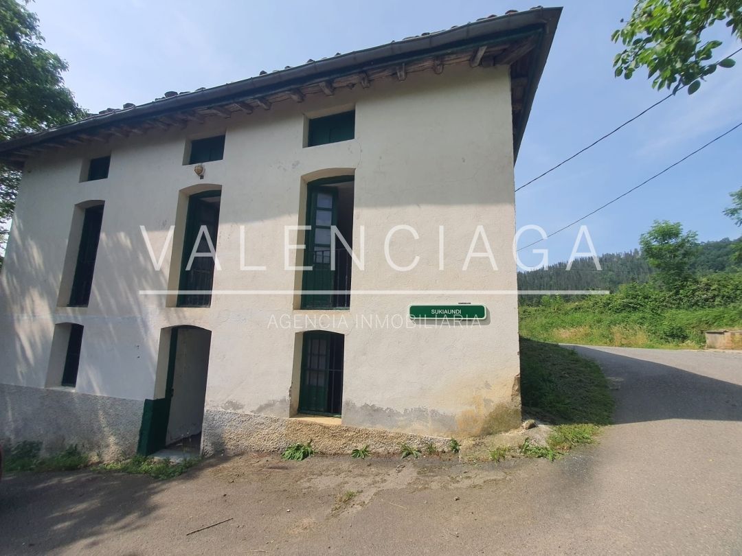 Exterior view of House or chalet for sale in Ataun