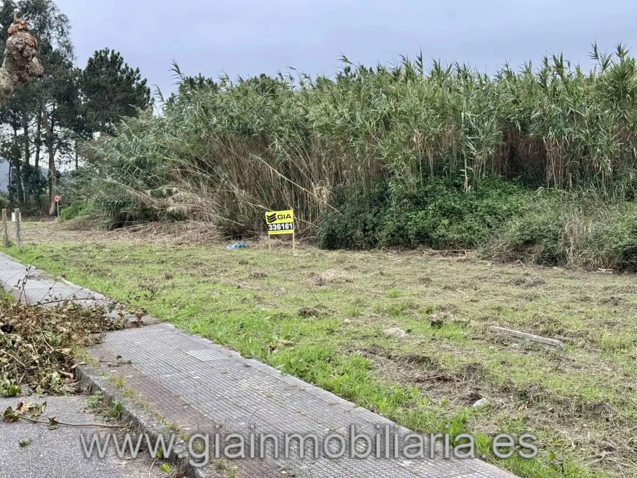 Lands and plots for sale in Avenida Reverendo José María Pérez Alonso 1, imagen 26