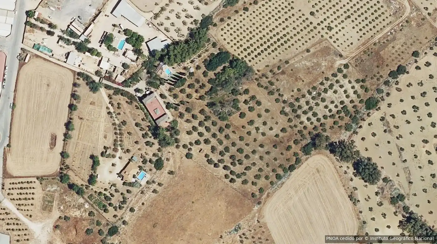 Rural land for sale in Mairena del Alcor