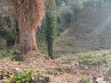 Terreno residenziale in vendita a Vallirana