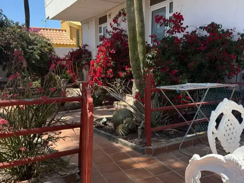 Jardín de Piso para compartir en San Bartolomé de Tirajana con Parquet y Amueblado