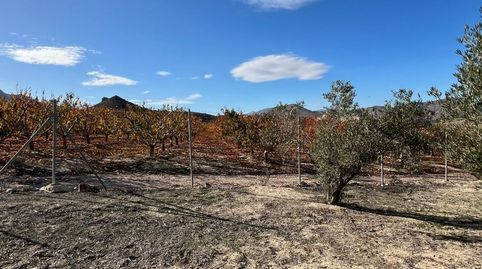 Terreno con proyecto de chalet de 275m2 y piscina de 32m2. Licencia de obras aceptada, imatge 3