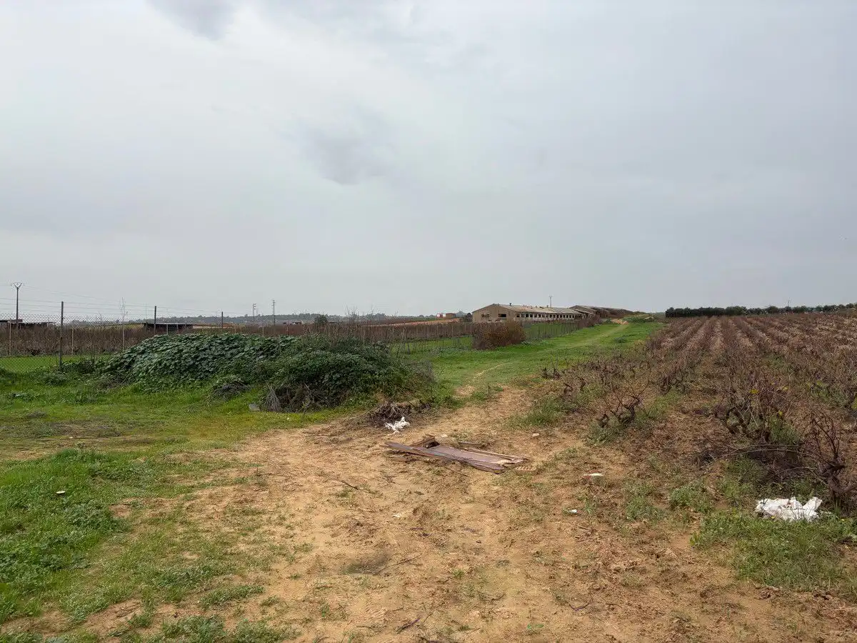Terrenys i solars en venda a Bollullos Par del Condado, imagen 5