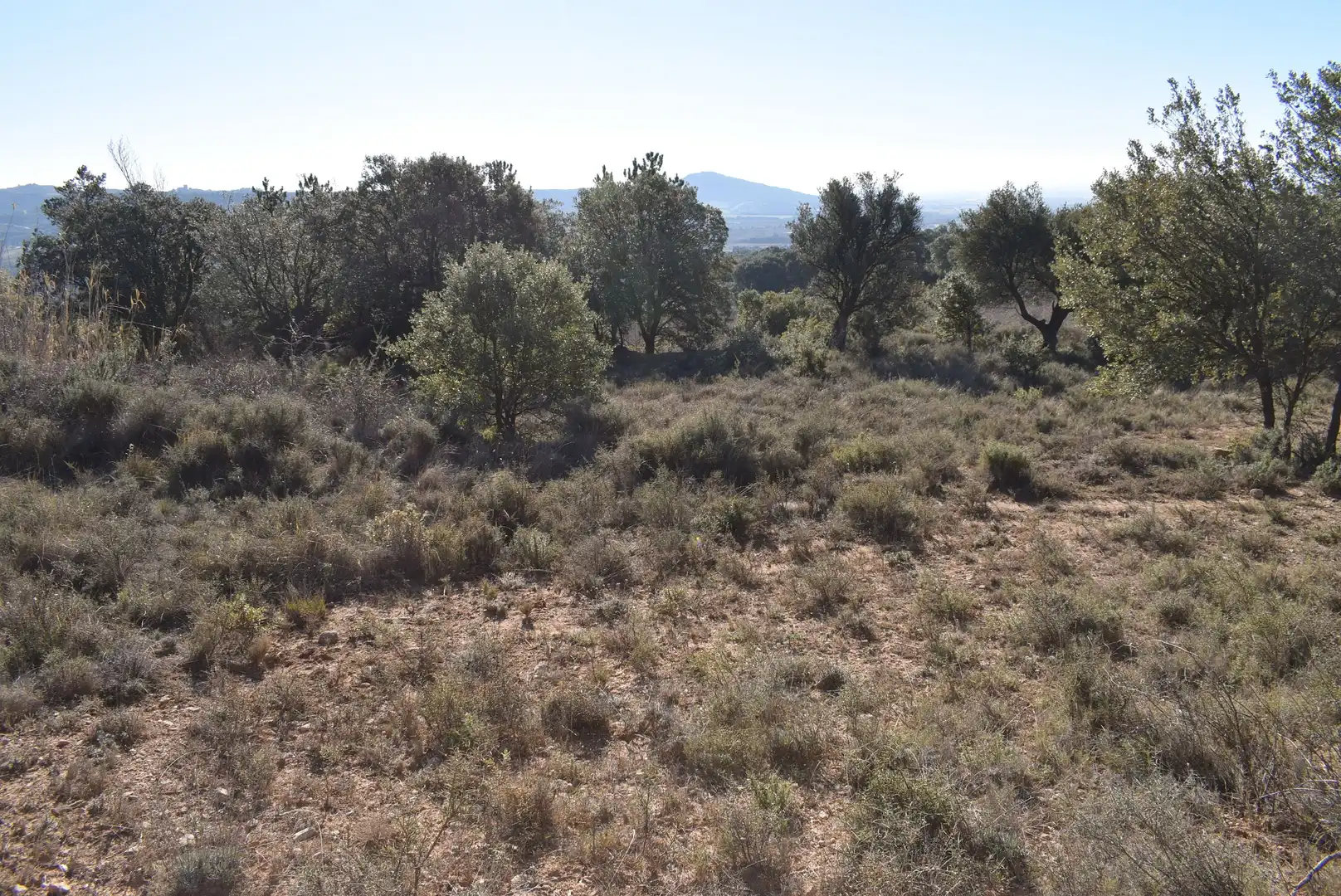Residencial en venta en Nueno