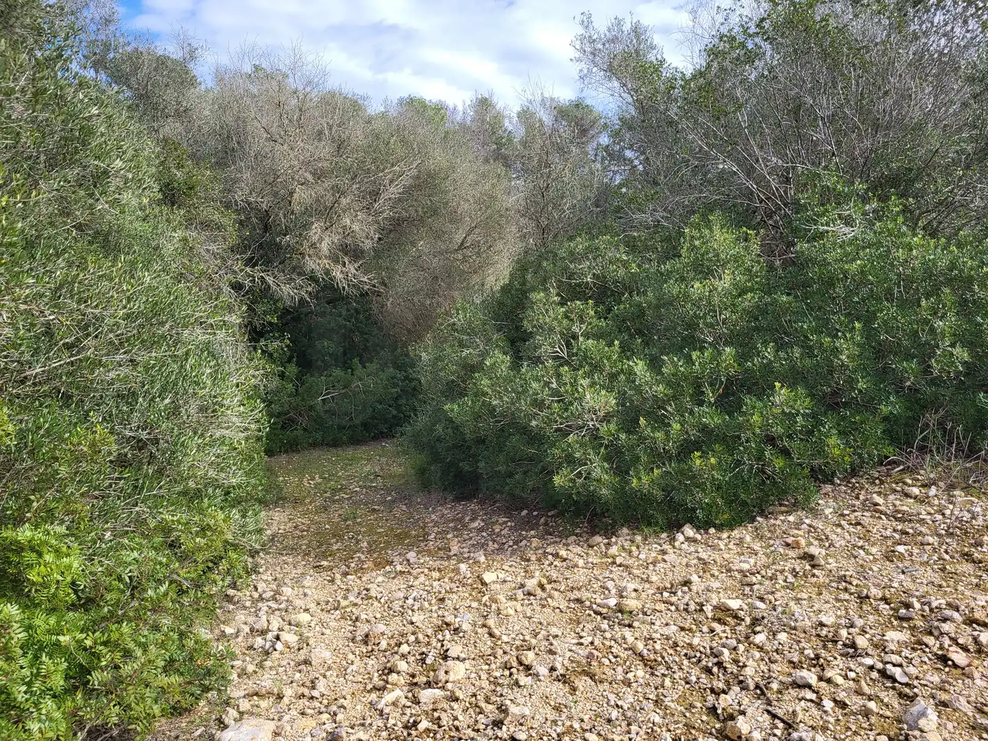 Terreni e lotti in vendita a Sant Joan, imagen 8
