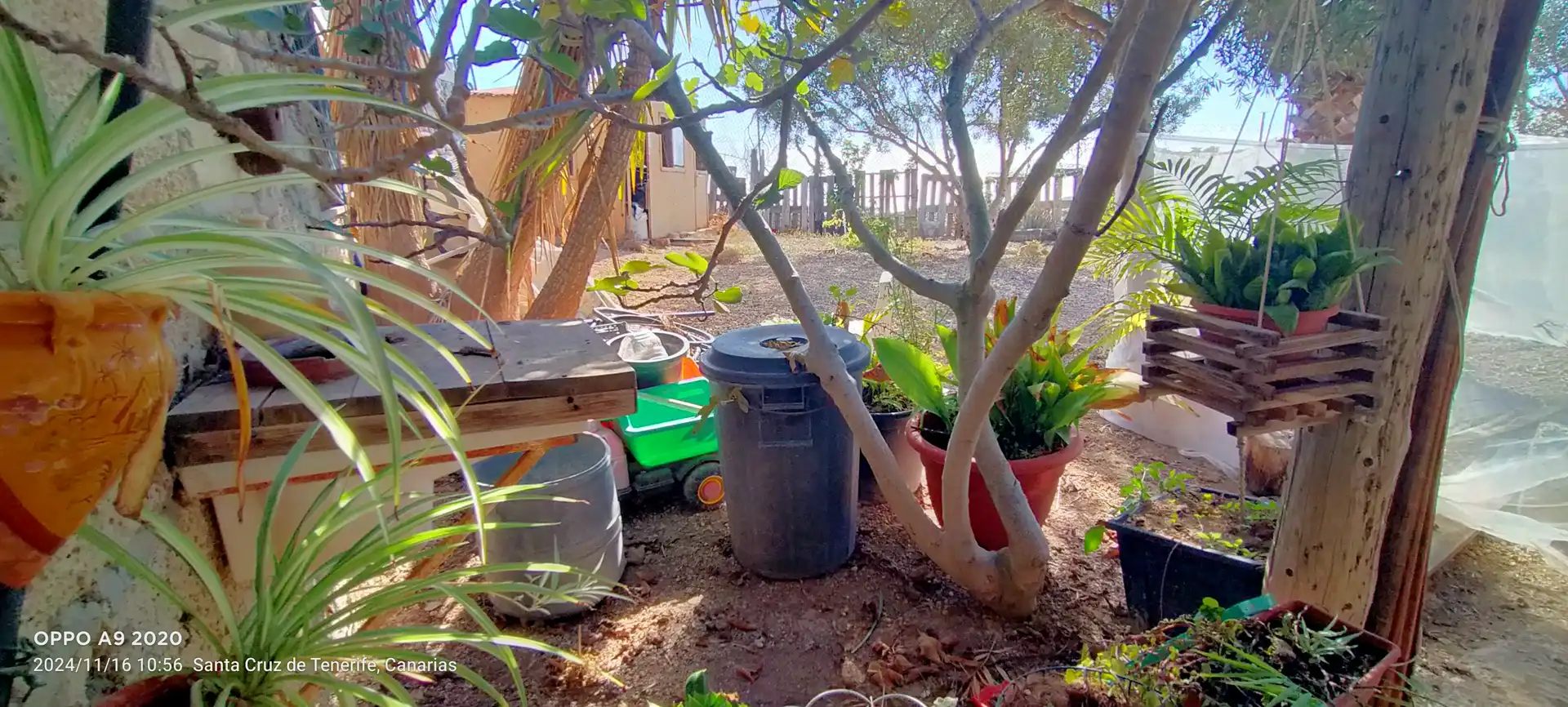 Jardín de Terreno en venta en Arico
