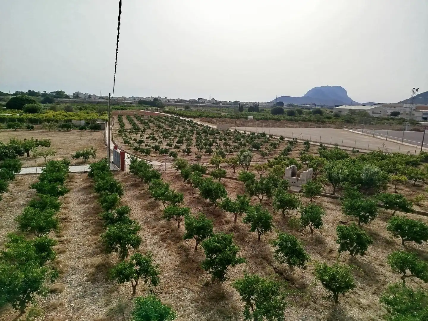 Country homes for sale in Ondara  with Private garden