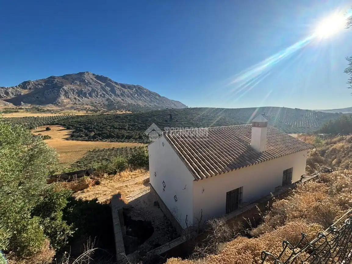 Vista exterior de Finca rústica en venta en Valle de Abdalajís