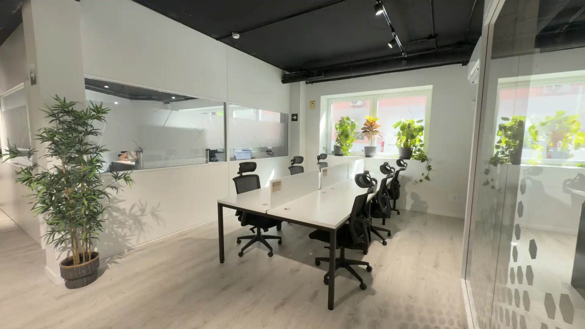 Büro zur Miete in Tetuán