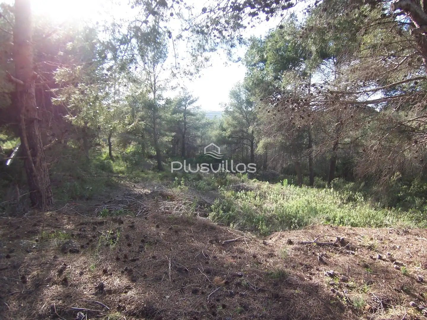 Terrenys i solars en venda a Benimeit - Tabaira, imagen 5