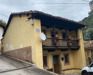 Vista exterior de Casa o xalet en venda en Cabrales amb Calefacció, Jardí privat i Terrassa