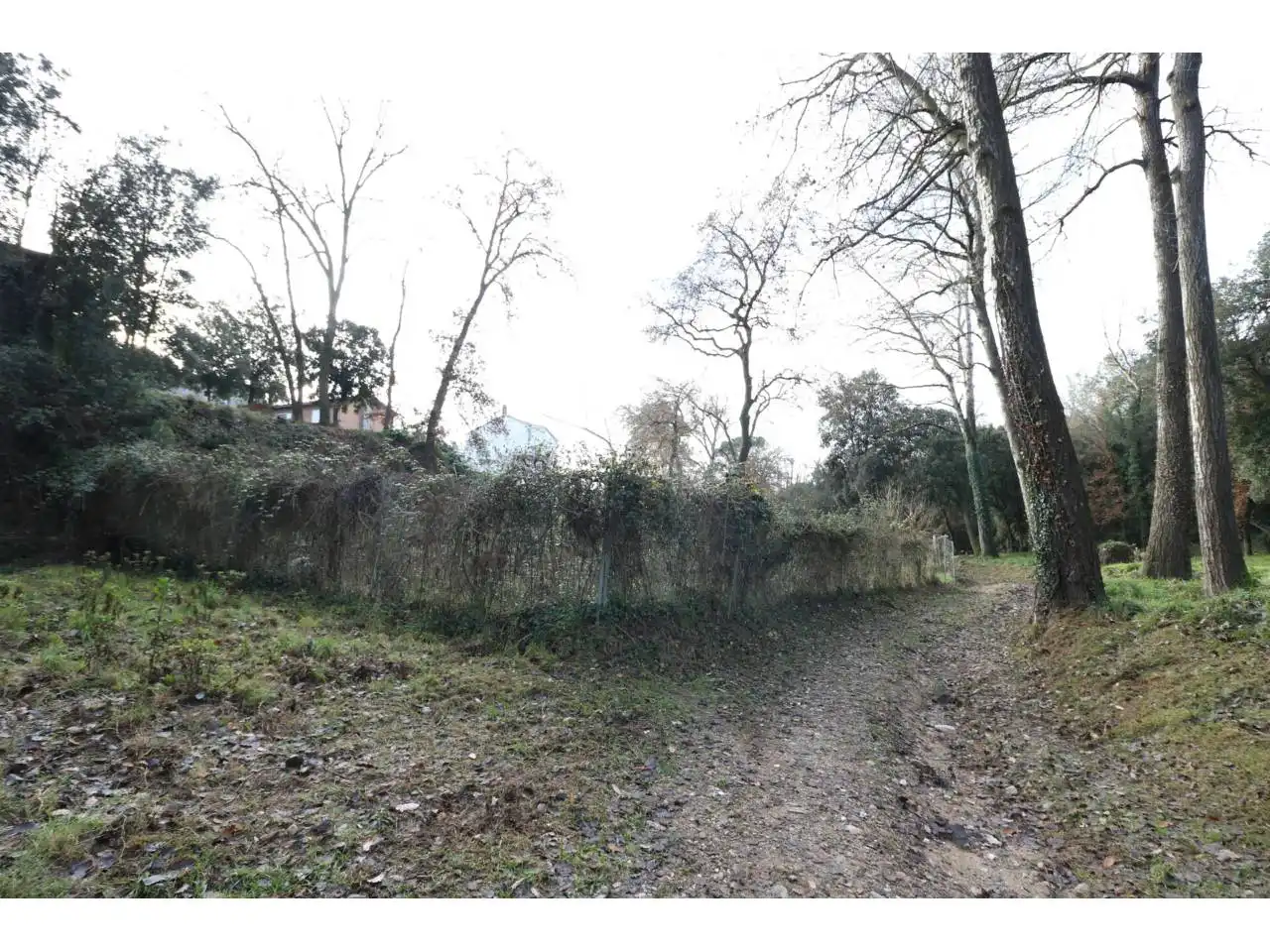 Land for sale in Sentmenat