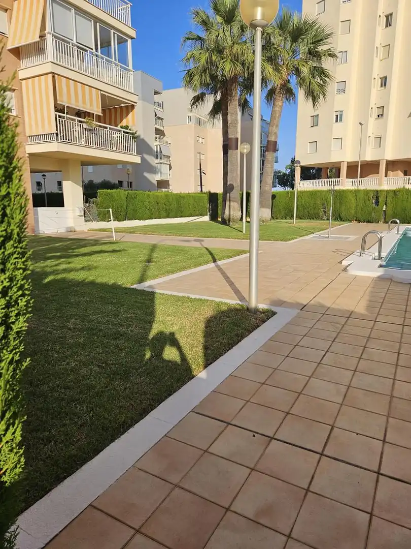 Apartments for rent in La Curva