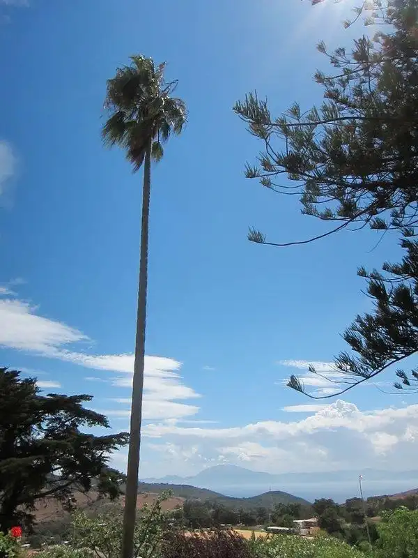 Vista exterior de Casa o xalet en venda en Algeciras