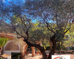 Jardí de Casa o xalet en venda en Borriol amb Calefacció, Jardí privat i Terrassa
