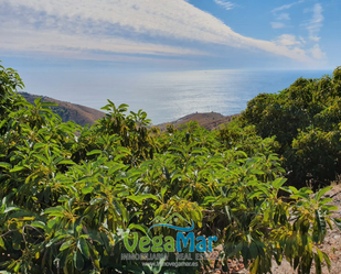 Exterior view of Residential for sale in Salobreña