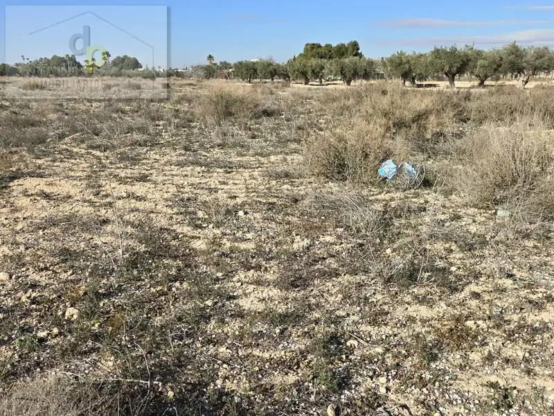 Terreno rustico in affitto a Camino de los Quiles 160, imagen 5