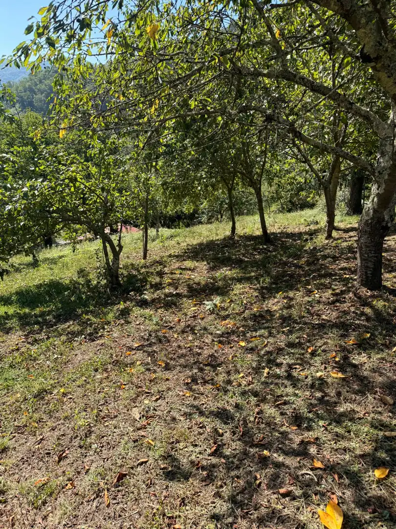 Maison jumelée avec jardin à vendre à Quirós, imagen 34