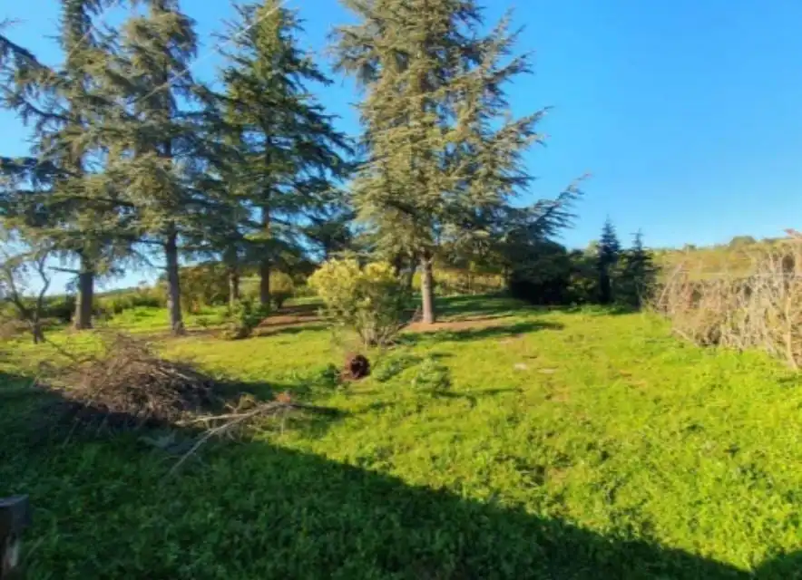 Terreni e lotti in vendita a Garrafe de Torío, imagen 7