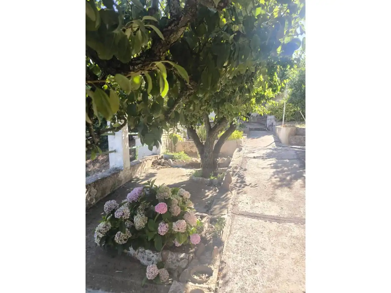 Jardí de Casa o xalet en venda en León Capital  amb Calefacció, Jardí privat i Parquet