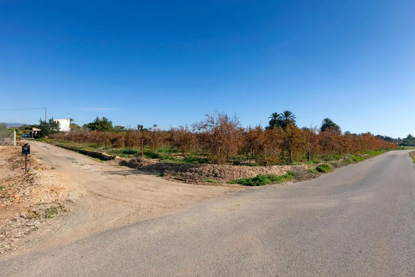 Casa o chalet en venta en Elche / Elx