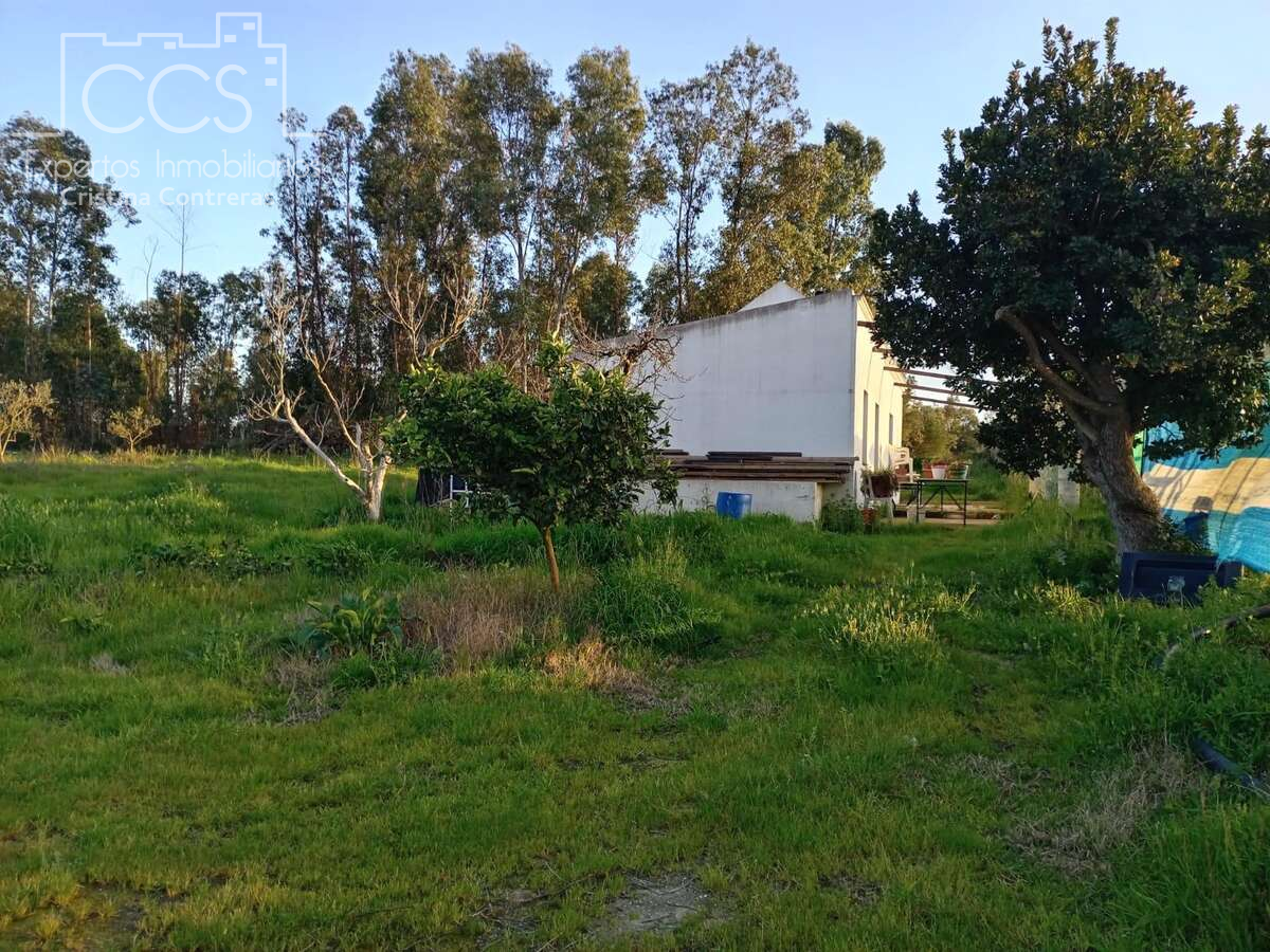 Finca rústica en venda a Almonte ciudad