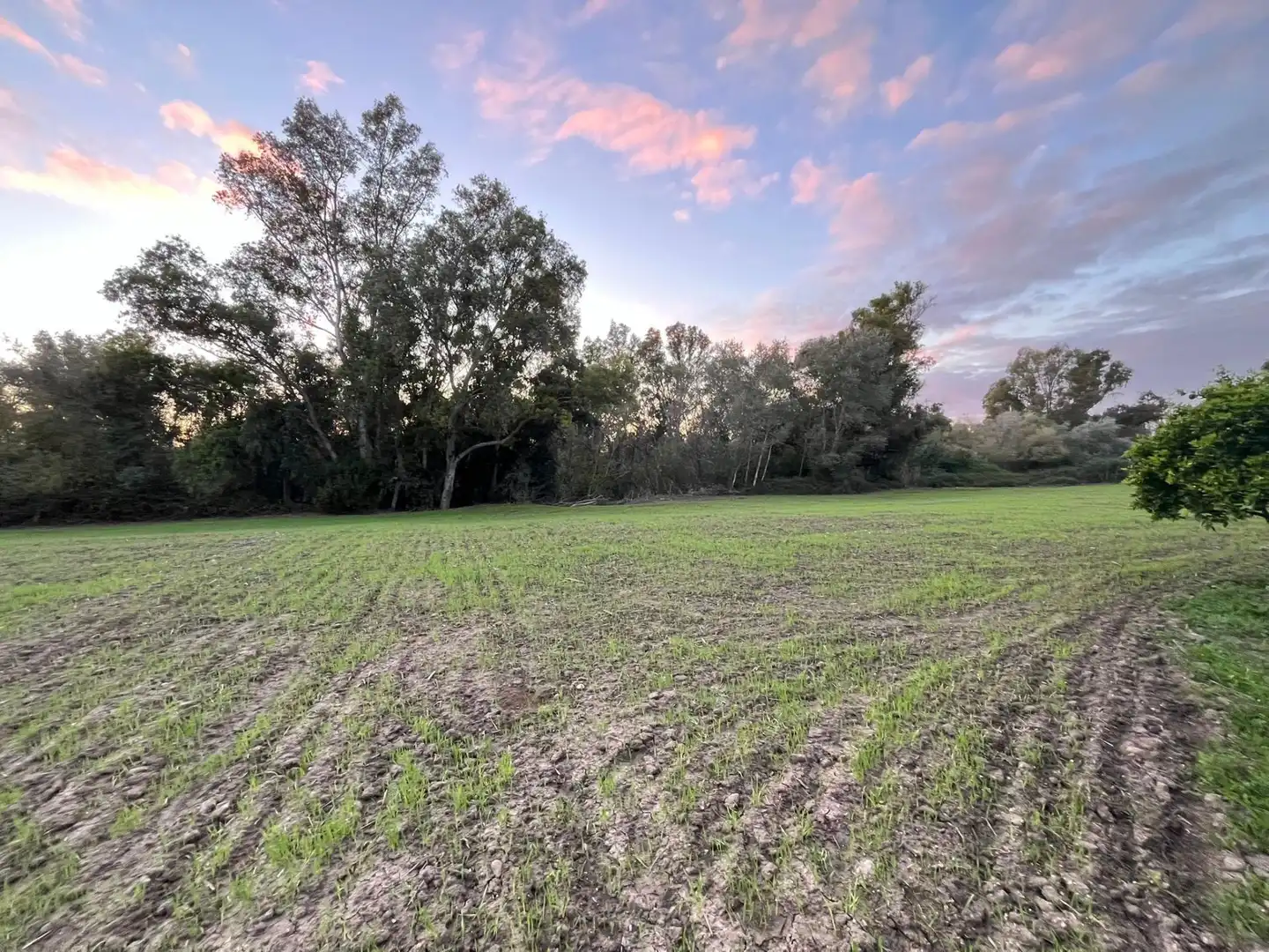 Terreno en venta en Jerez de la Frontera