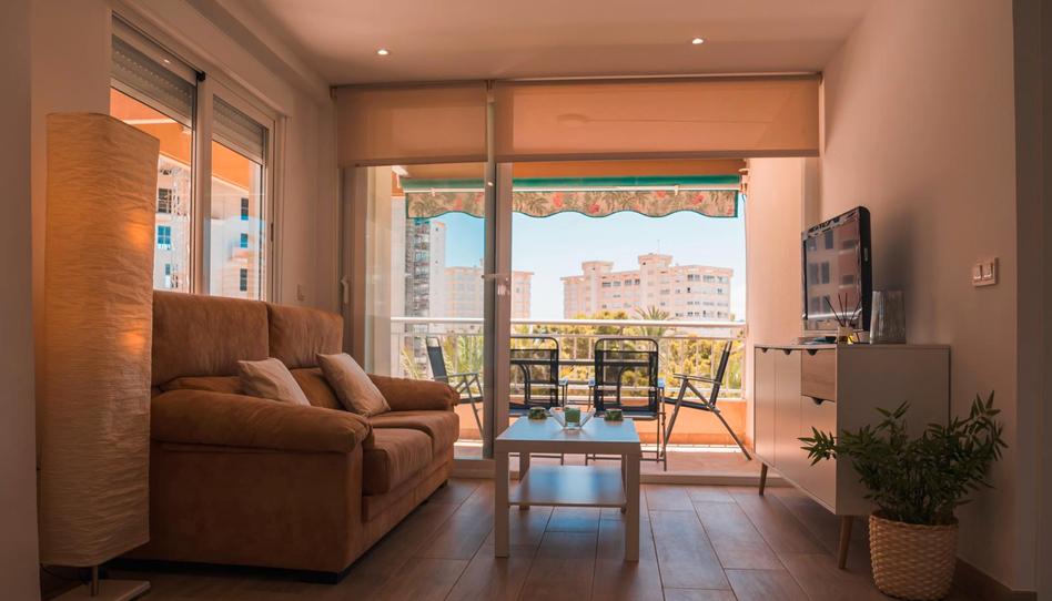 Photo 1 of Flat to rent in Calle del Torero Luis Francisco Esplá, PAU 5, Alicante