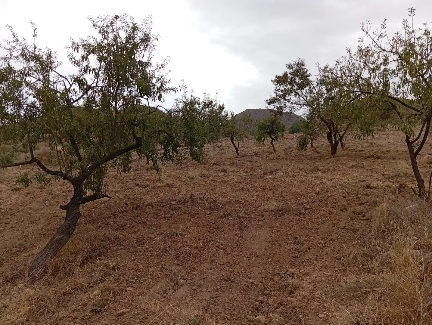 Terreni e lotti in vendita a Bolnuevo, imagen 6