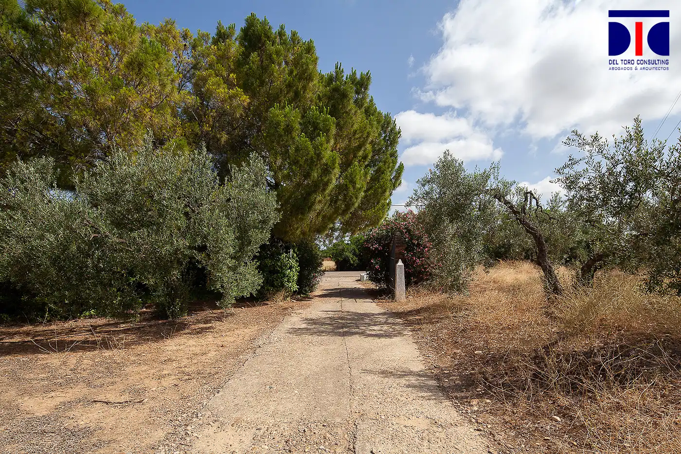 Finca rústica en venta en Carmona con Jardín privado, Terraza y Piscina