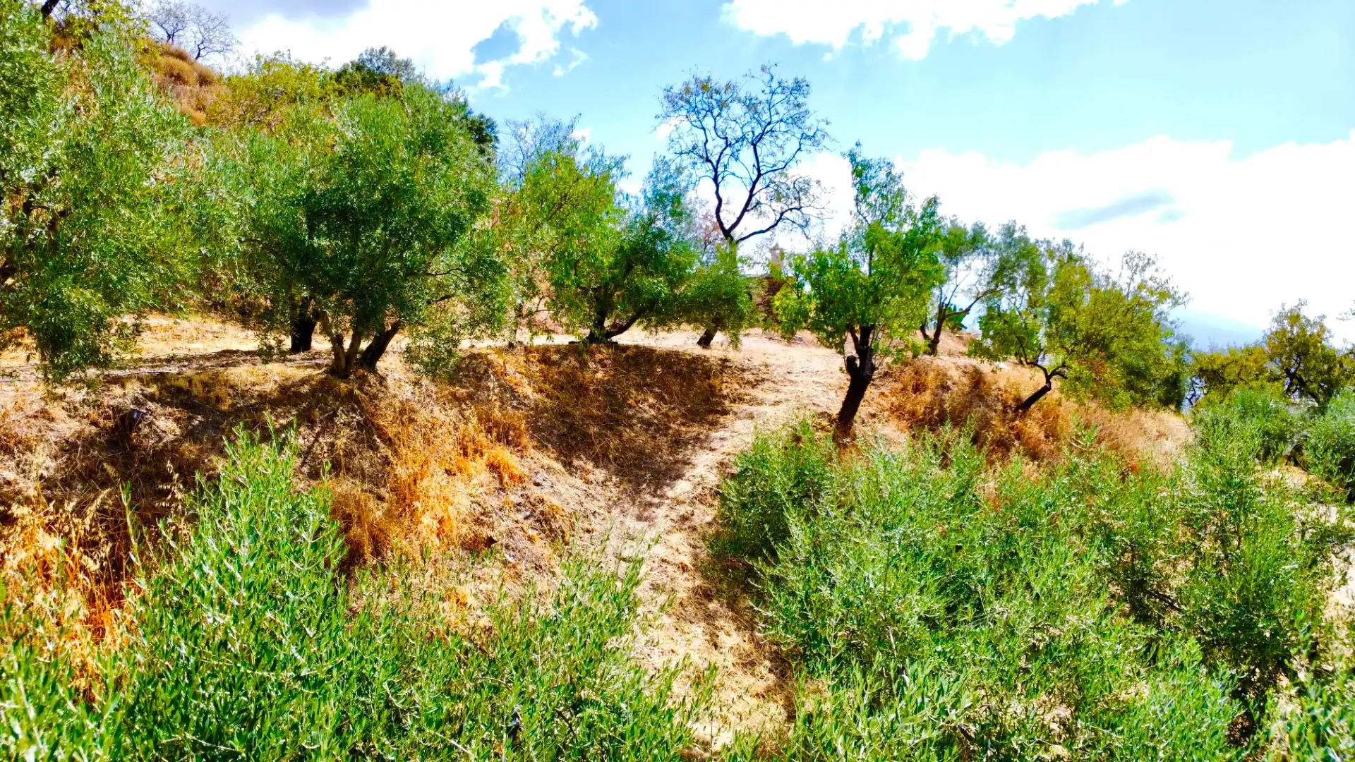 Terreno rustico in vendita a N/A, imagen 24