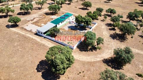 Foto 2 de Finca rústica en venda a Calle el Girillo, Villar del Pedroso, Cáceres