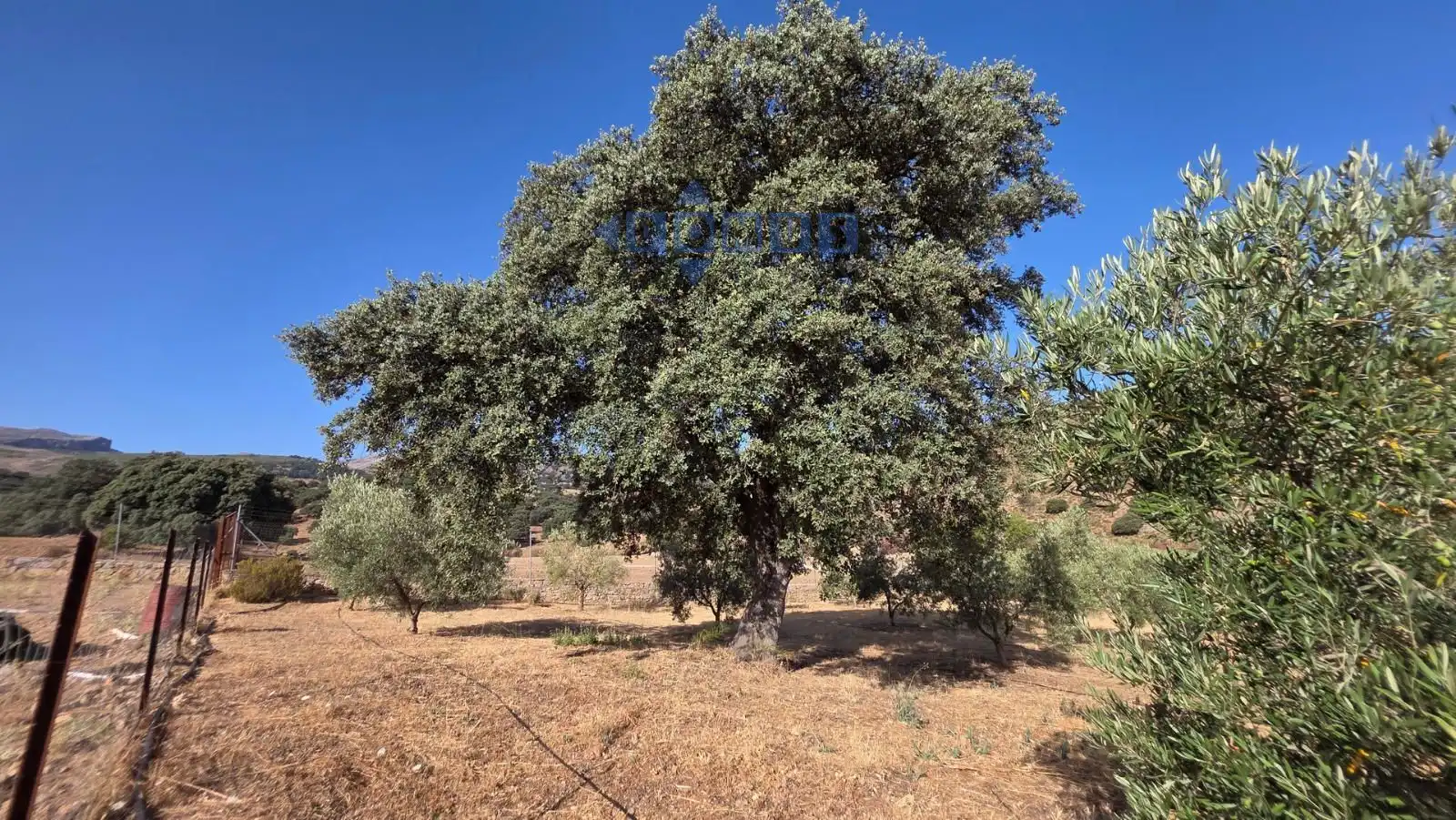 Terreno en venta en Camino Cartajima, carretera de san pedro, Partidas Sur