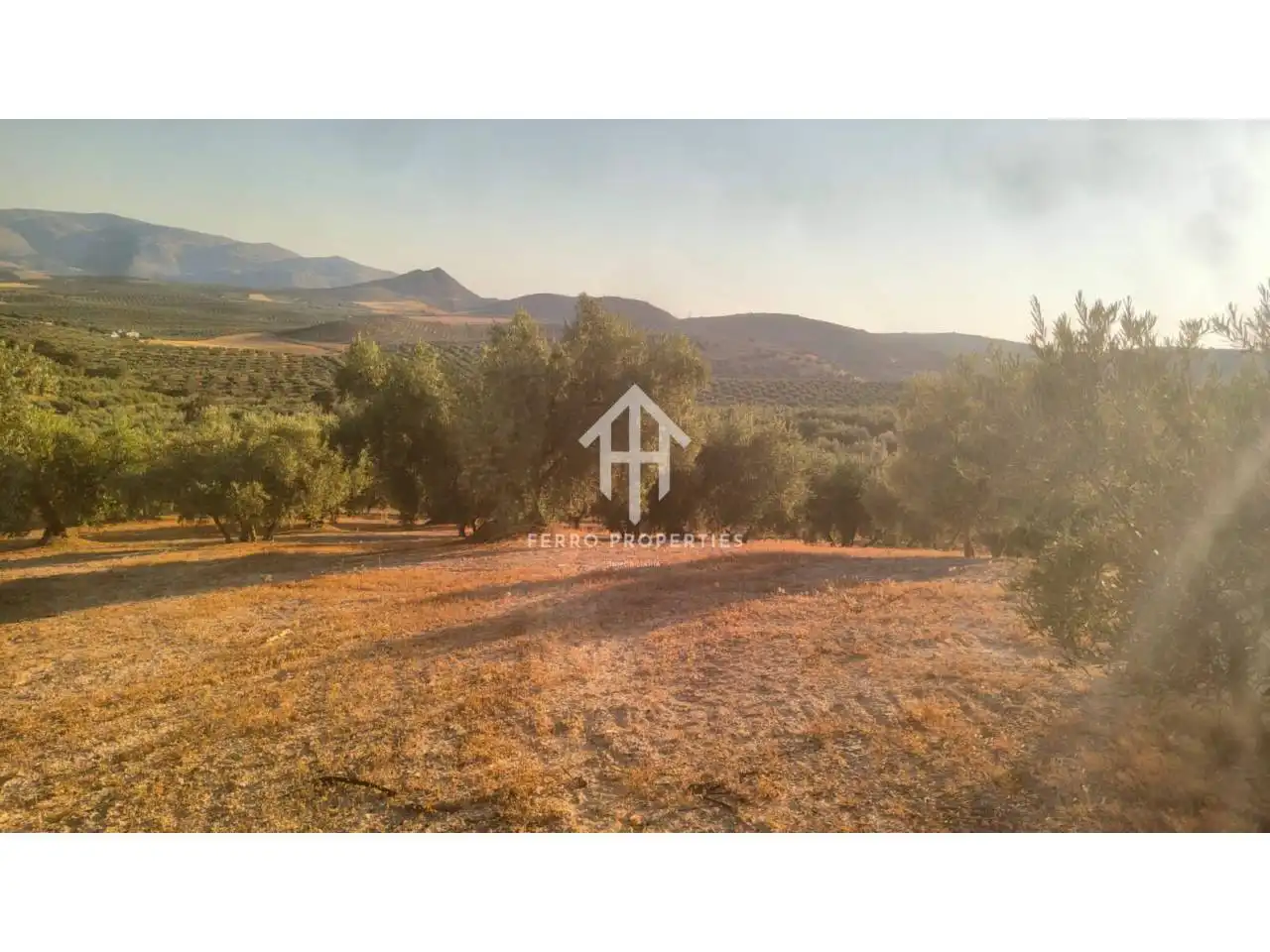 Terrain rustique à vendre à Loja, imagen 8