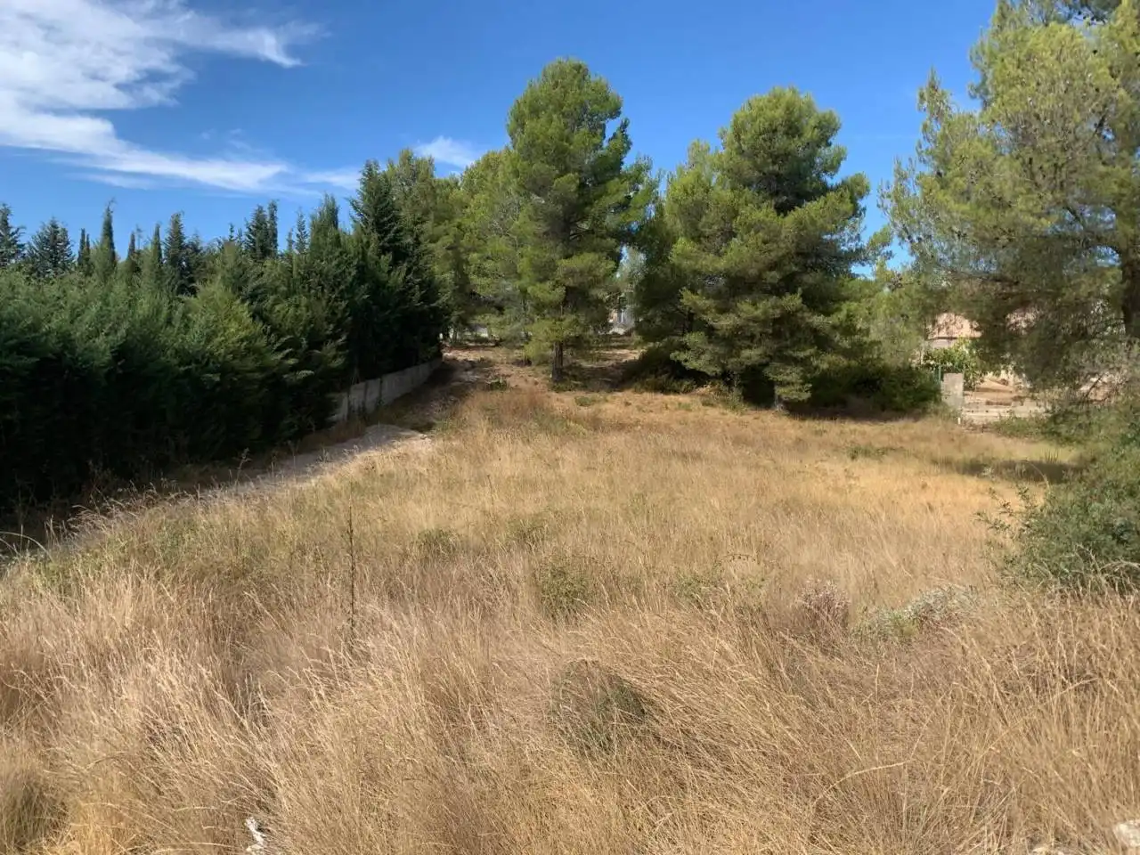 Rural land for sale in Calle Crespia, imagen 4