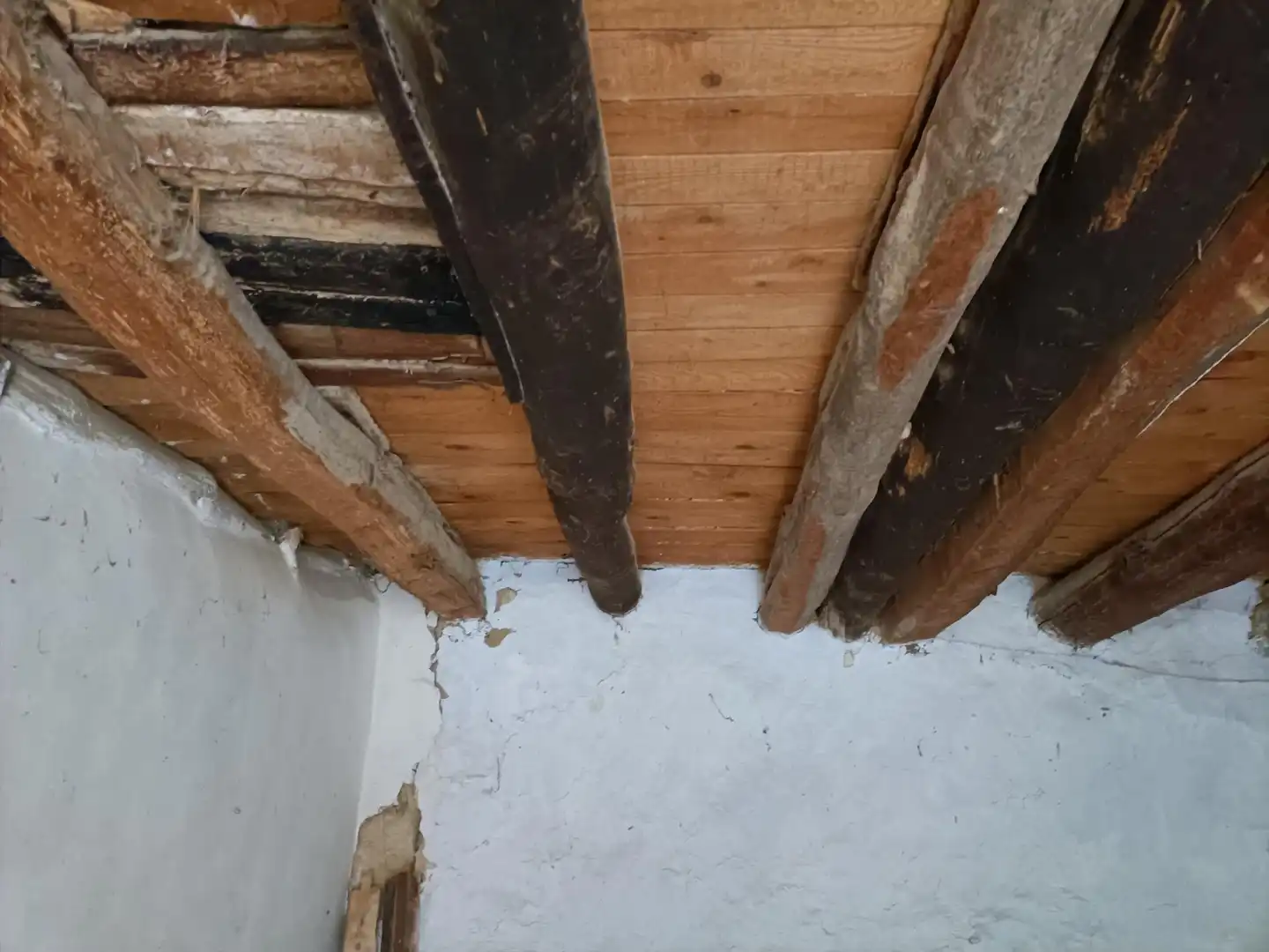 Finca rústica en venta en Codo