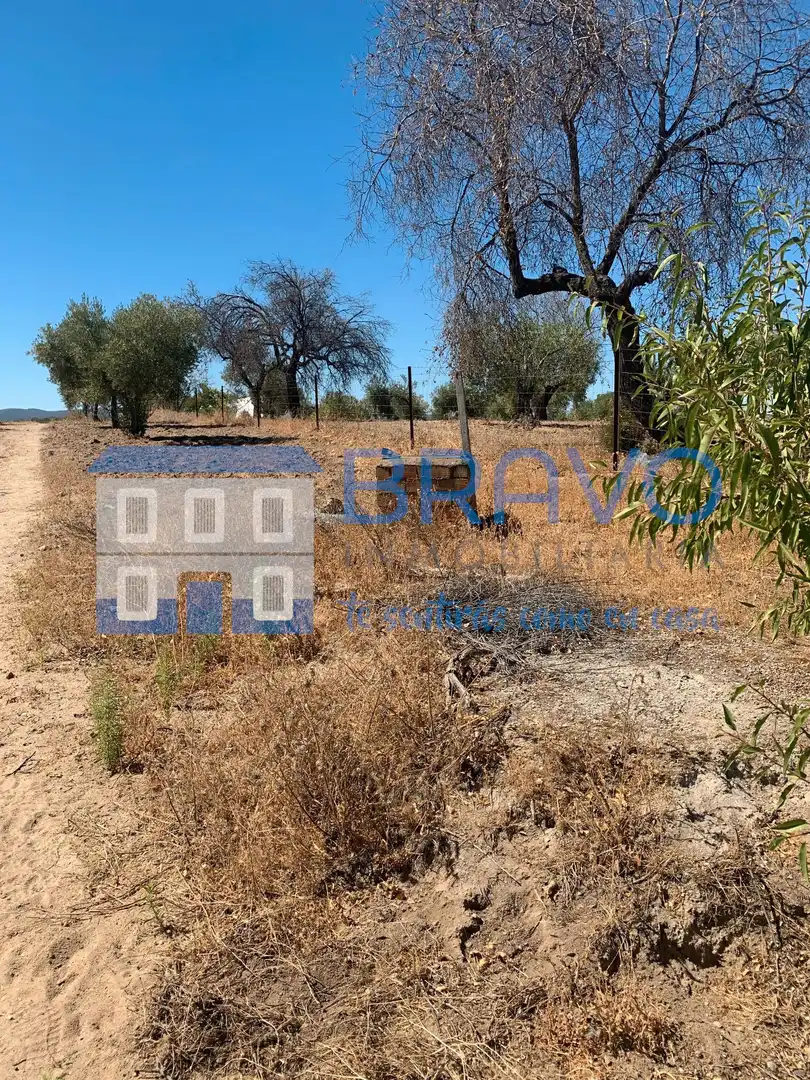 Chalet en venta en La Haba, imagen 28