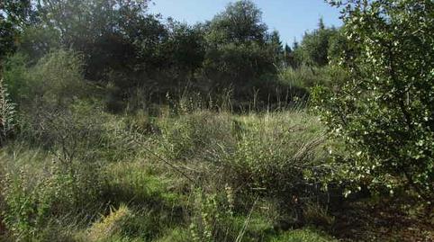 Photo 4 of Residential for sale in Los Cigarrales-La Bastida, Toledo