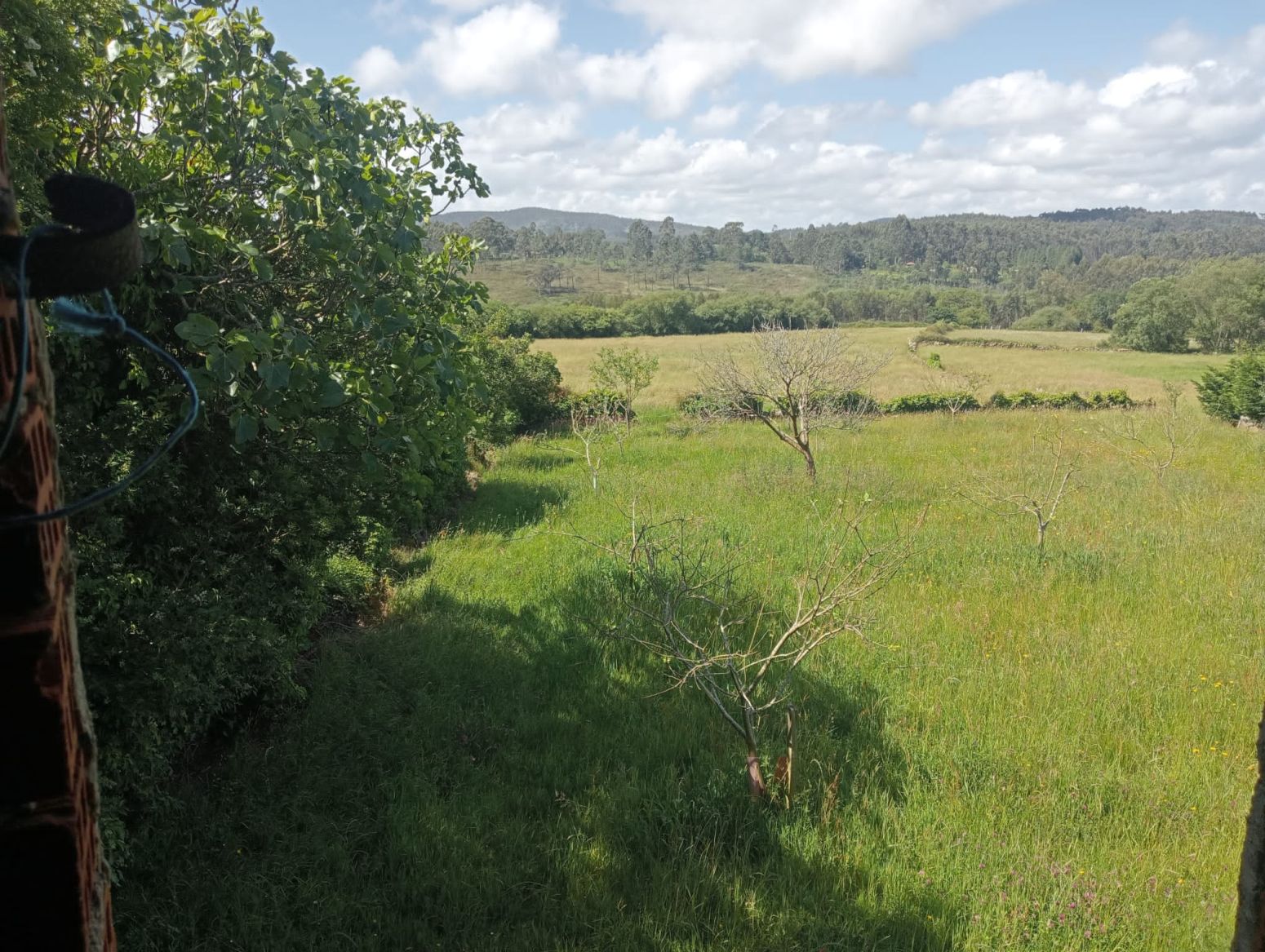 Residencial en venda a Villaviciosa - Aldea la busta, Selorio - Tornón