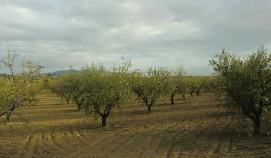 Terreny rústic en venda a Burguillos de Toledo, imagen 5