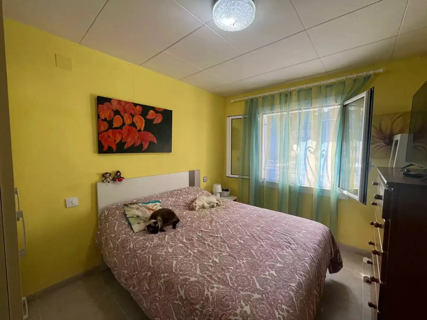 Casa en venda a Nord, imagen 20
