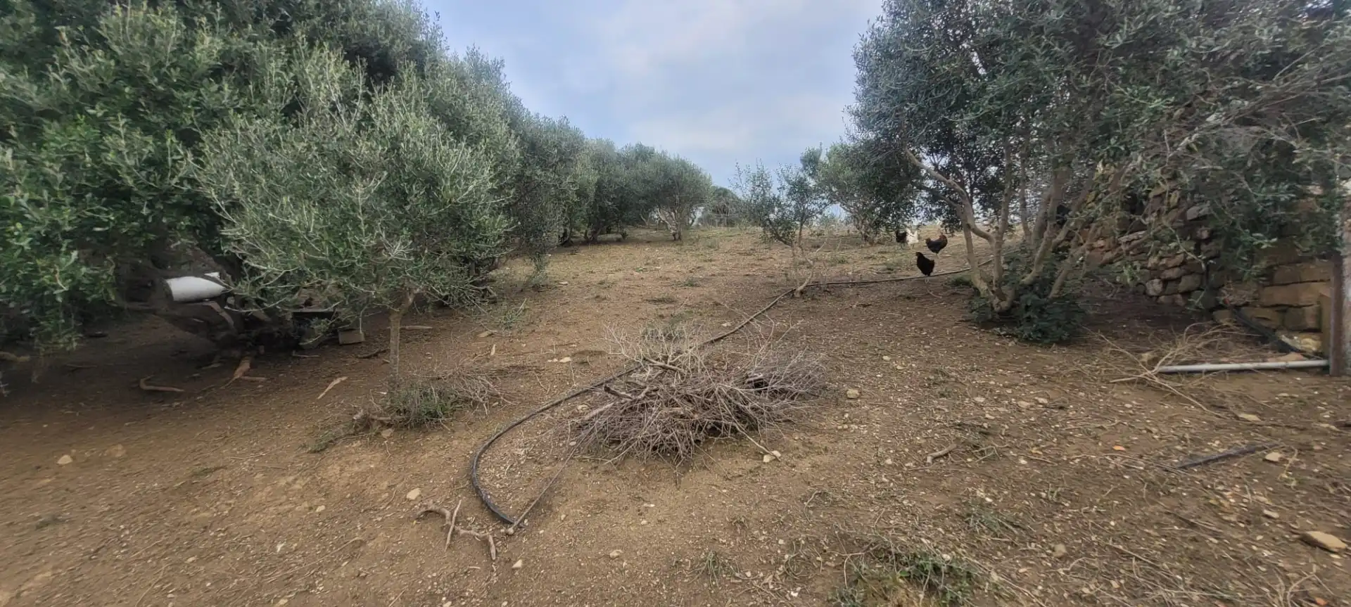 Terreni e lotti in vendita a Cañada de Matatoros 2, imagen 27