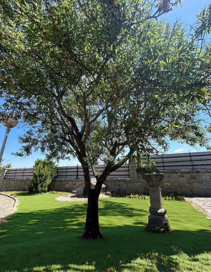 Jardí de Casa o xalet en venda en San Cristóbal de Segovia amb Calefacció, Jardí privat i Terrassa