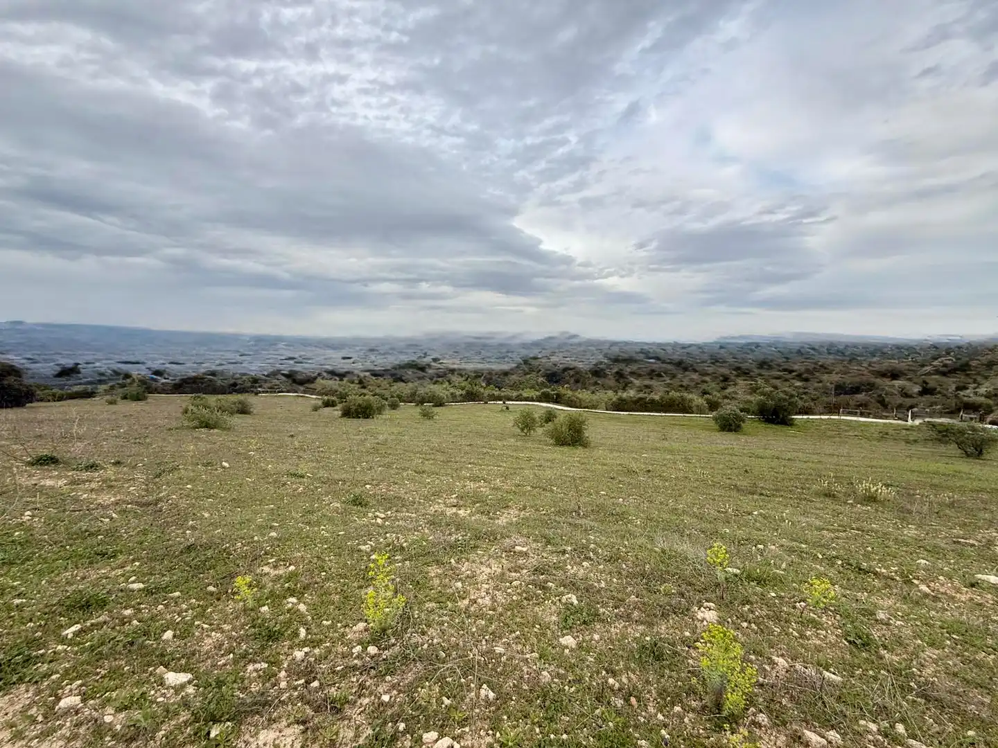Finca rústica en venta en Ronda