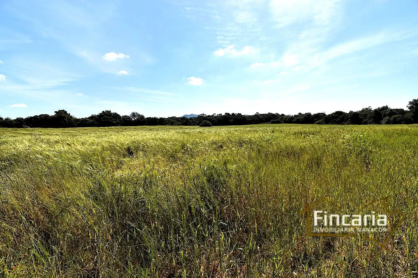 Lands and plots for sale in Ma-5120, imagen 8