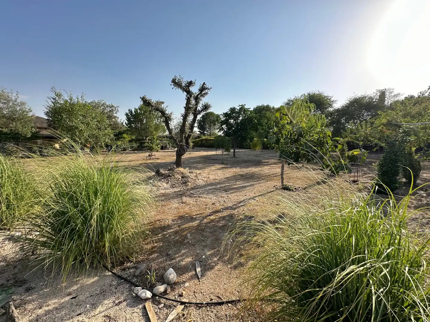 Villa mit Pool zum Verkauf in San Román de los Montes, imagen 26