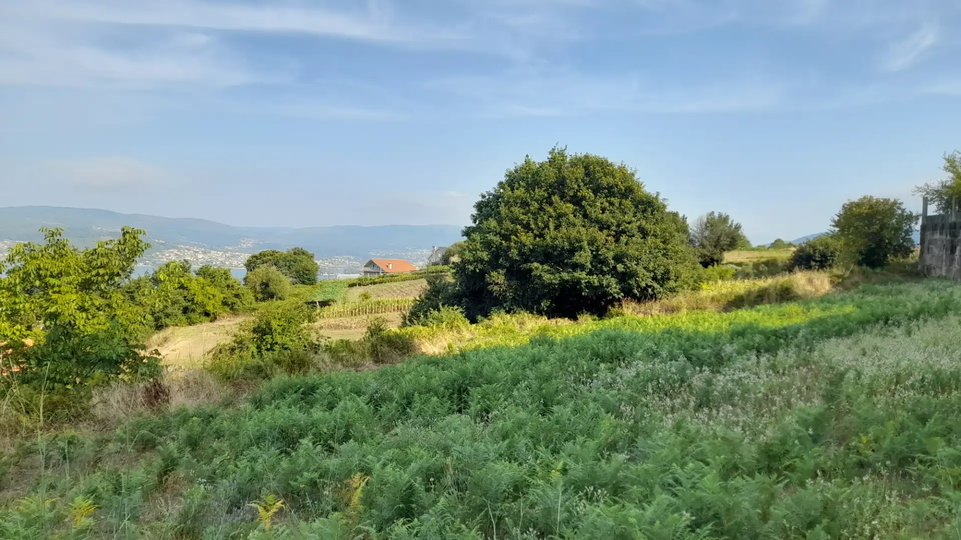 Terreno rustico in vendita a N-554 15, imagen 2