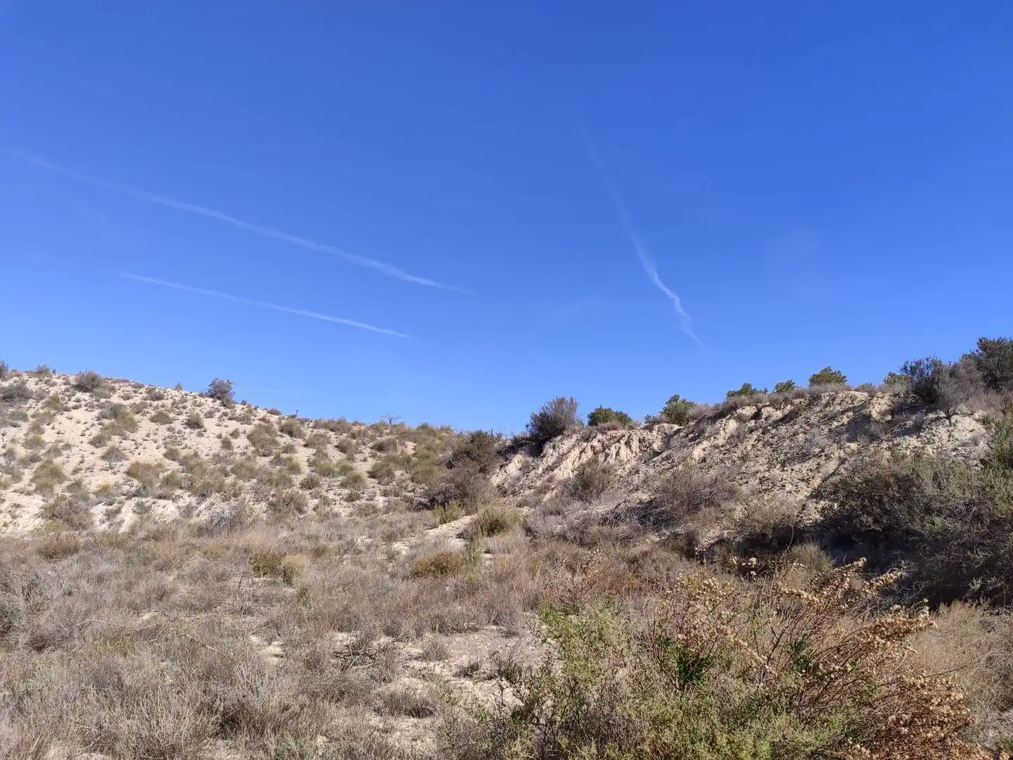 Lands and plots for sale in Abanilla, imagen 19